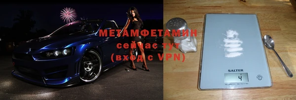 стаф Ельня