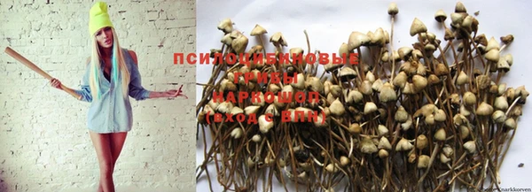mix Заводоуковск