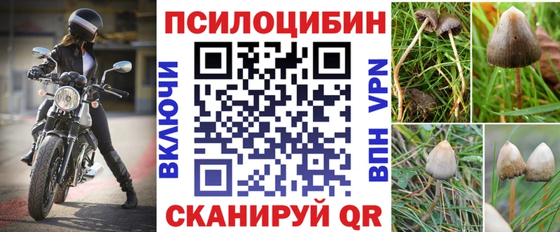 Купить где  Лысьва  Псилоцибиновые грибы Cubensis 